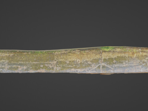 Seashore mossy path 3D-Modell
