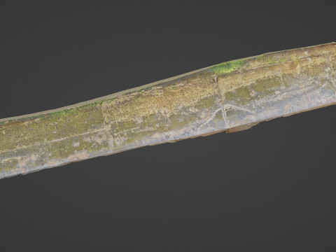 Seashore mossy path 3D-Modell