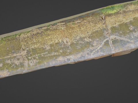 Seashore mossy path 3D-Modell