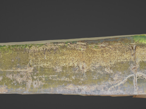 Seashore mossy path 3D-Modell