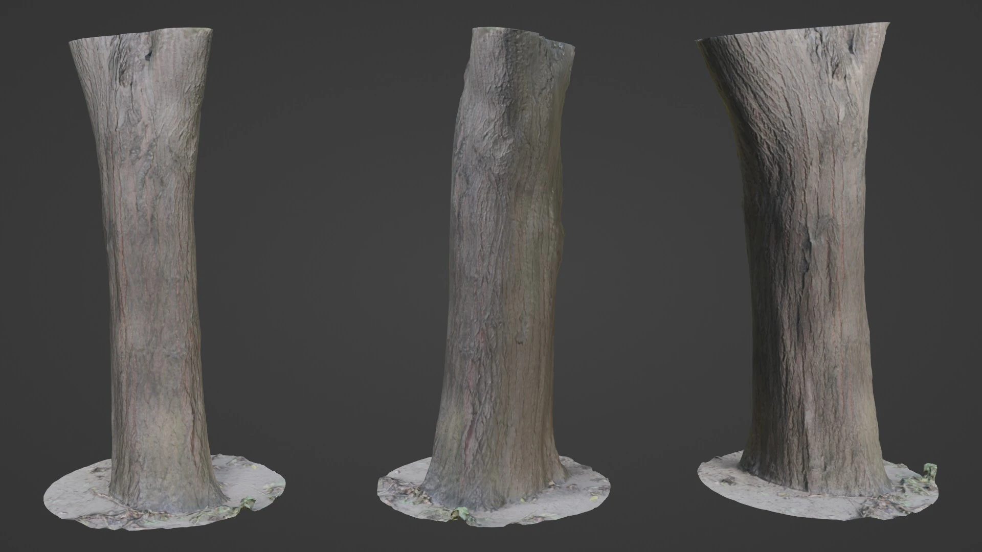 Tree Trunk bark scan 3D Model .c4d .max .obj .3ds .fbx .stl .blend