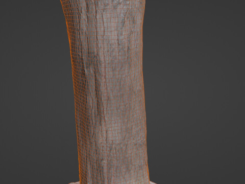 Tree Trunk bark scan 3D Model