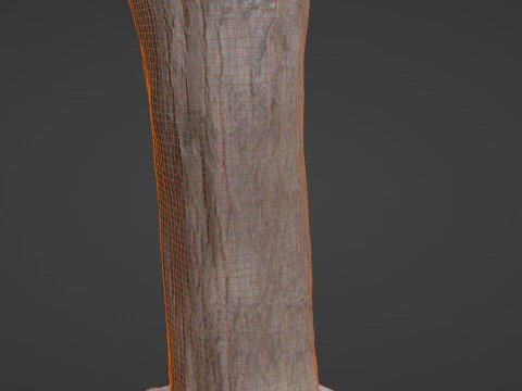 Tree Trunk bark scan 3D Model