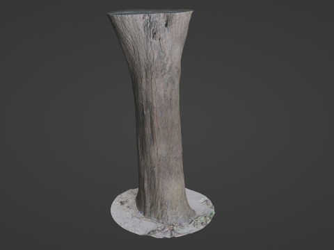 Tree Trunk bark scan 3D Model