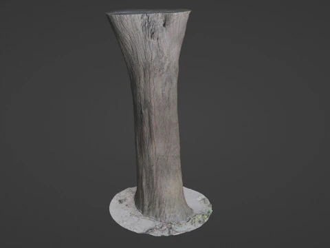Tree Trunk bark scan 3D Model