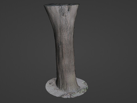 Tree Trunk bark scan 3D Model