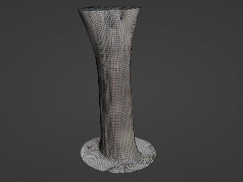 Tree Trunk bark scan 3D Model