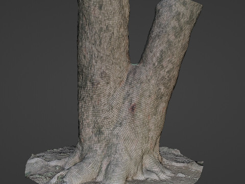 Spliot tree trunks Model 3D