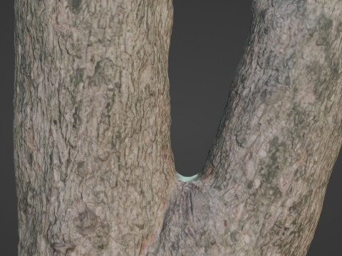 Spliot tree trunks Model 3D