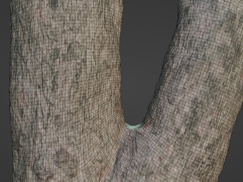 Spliot tree trunks Model 3D