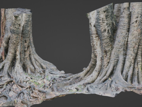 Uprooted Tree Modèle 3D