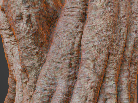 Uprooted Tree 3D-Modell