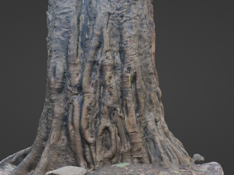 Uprooted Tree 3D-Modell