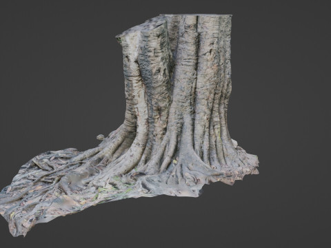 Uprooted Tree 3D-Modell