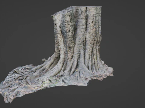 Uprooted Tree 3D Model