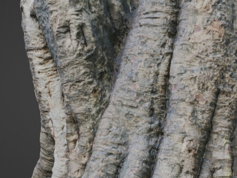 Uprooted Tree 3D-Modell
