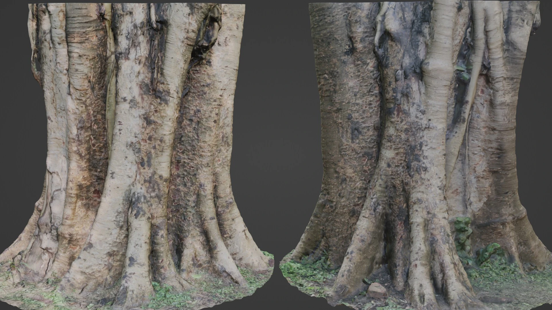 Board tree 3D Model .c4d .max .obj .3ds .fbx .stl .blend