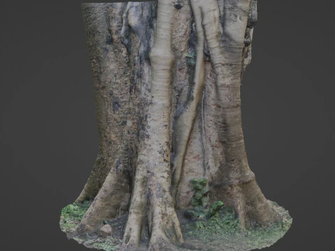 Board tree 3D Model