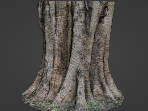 Board tree 3D Model