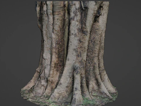 Board tree 3D Model