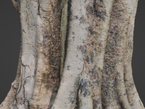 Board tree 3D Model