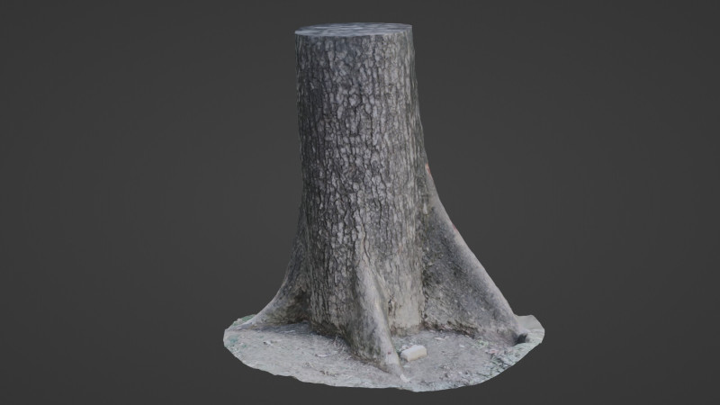 Gaint trunk 3D Model .c4d .max .obj .3ds .fbx .stl .blend