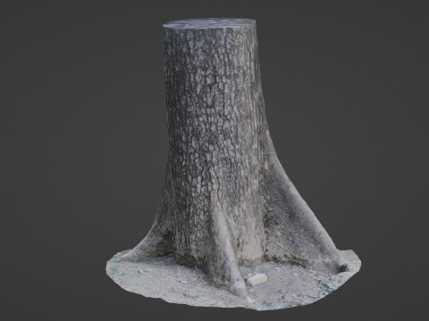 Gaint trunk 3D 模型