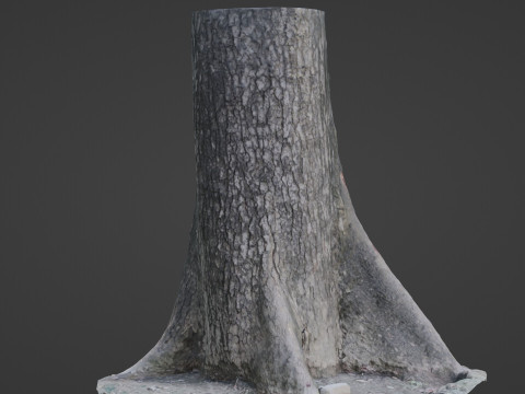 Gaint trunk 3D Model