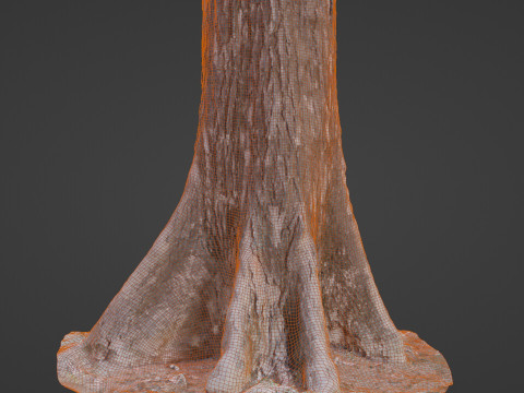 Gaint trunk 3D Model