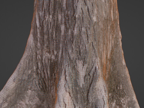 Gaint trunk 3D Model