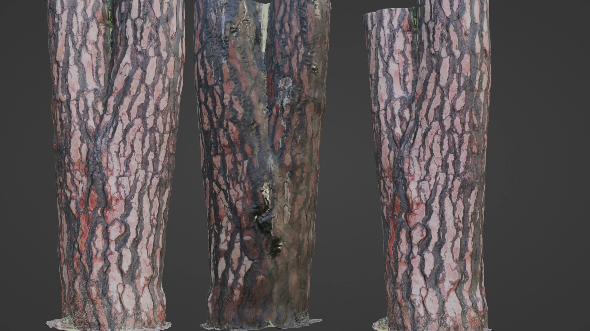 Tree Bark 3D Model .c4d .max .obj .3ds .fbx .stl .blend 