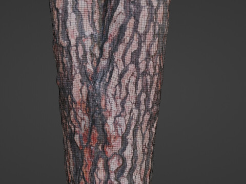 Tree Bark 3D Model