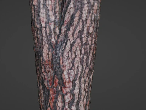 Tree Bark 3D Model