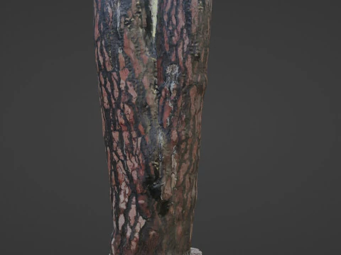 Tree Bark 3D Model