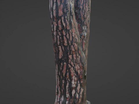 Tree Bark 3D Model