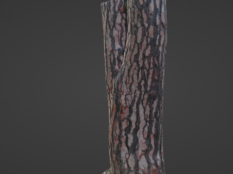 Tree Bark 3D Model