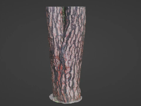 Tree Bark 3D Model