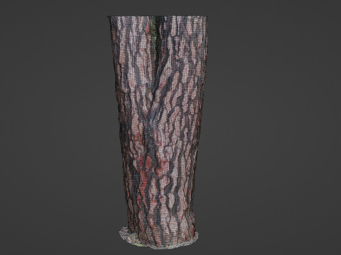 Tree Bark 3D Model