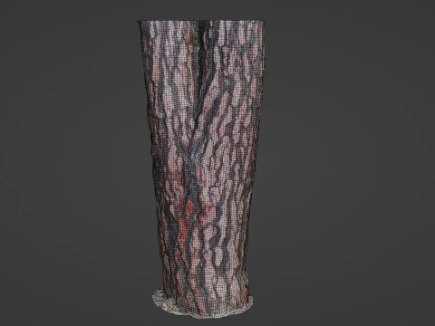 Tree Bark 3D Model
