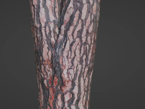 Tree Bark 3D Model