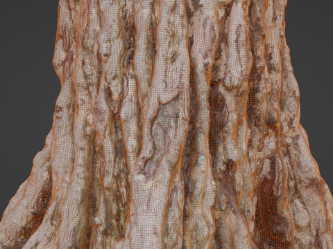 Tree scan 3Dモデル