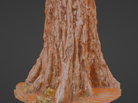 Tree scan 3Dモデル