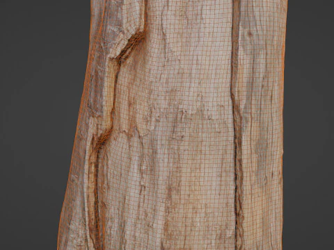 Trunk 3D Model