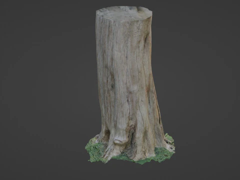 Trunk 3D Model