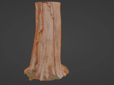 Trunk 3D Model