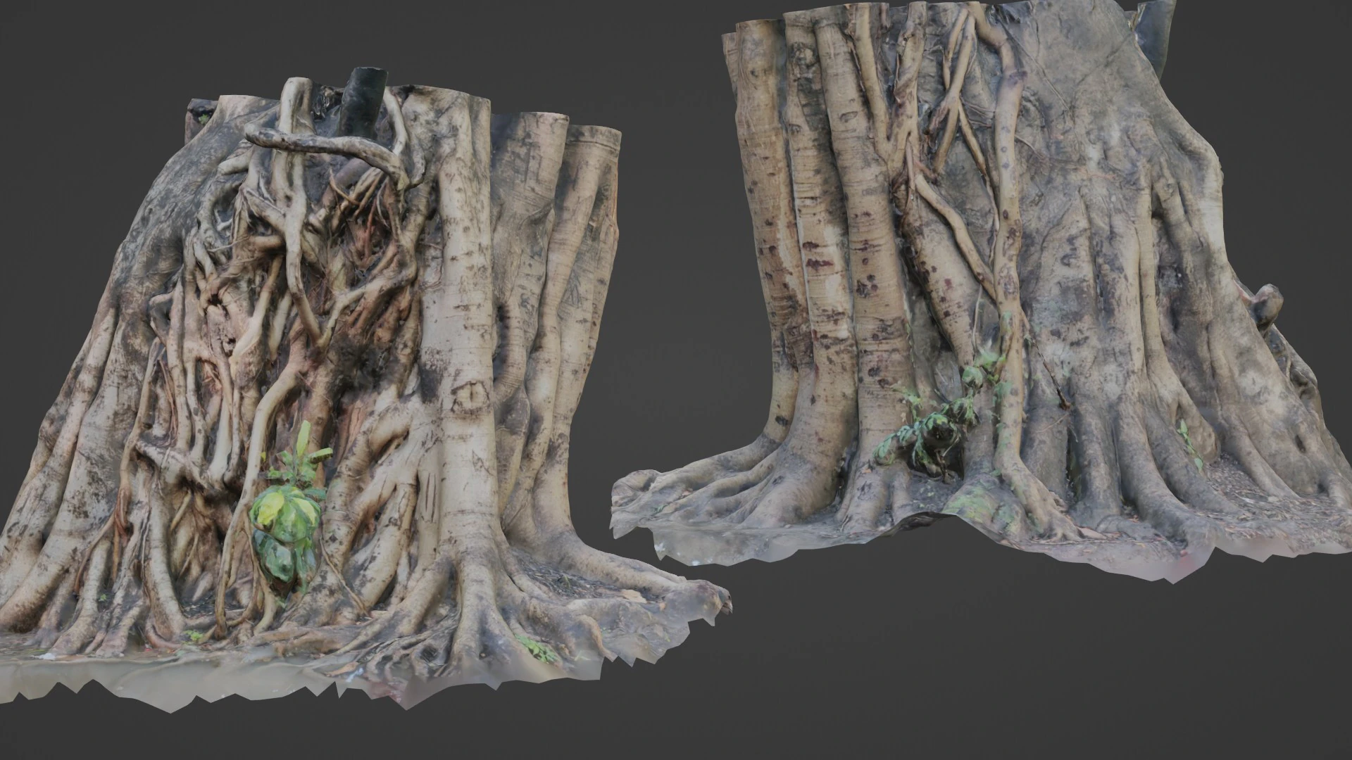 Uprooted tree trunk 3D Model .c4d .max .obj .3ds .fbx .stl .blend 