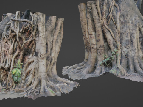 Uprooted tree trunk Model 3D