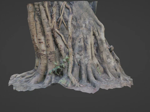Uprooted tree trunk 3D Model
