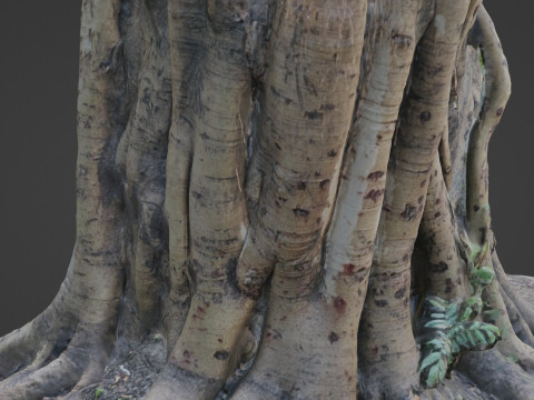 Uprooted tree trunk 3D Модель
