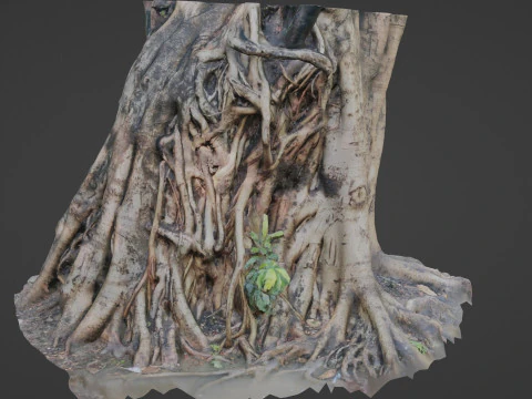 Uprooted tree trunk 3D Model